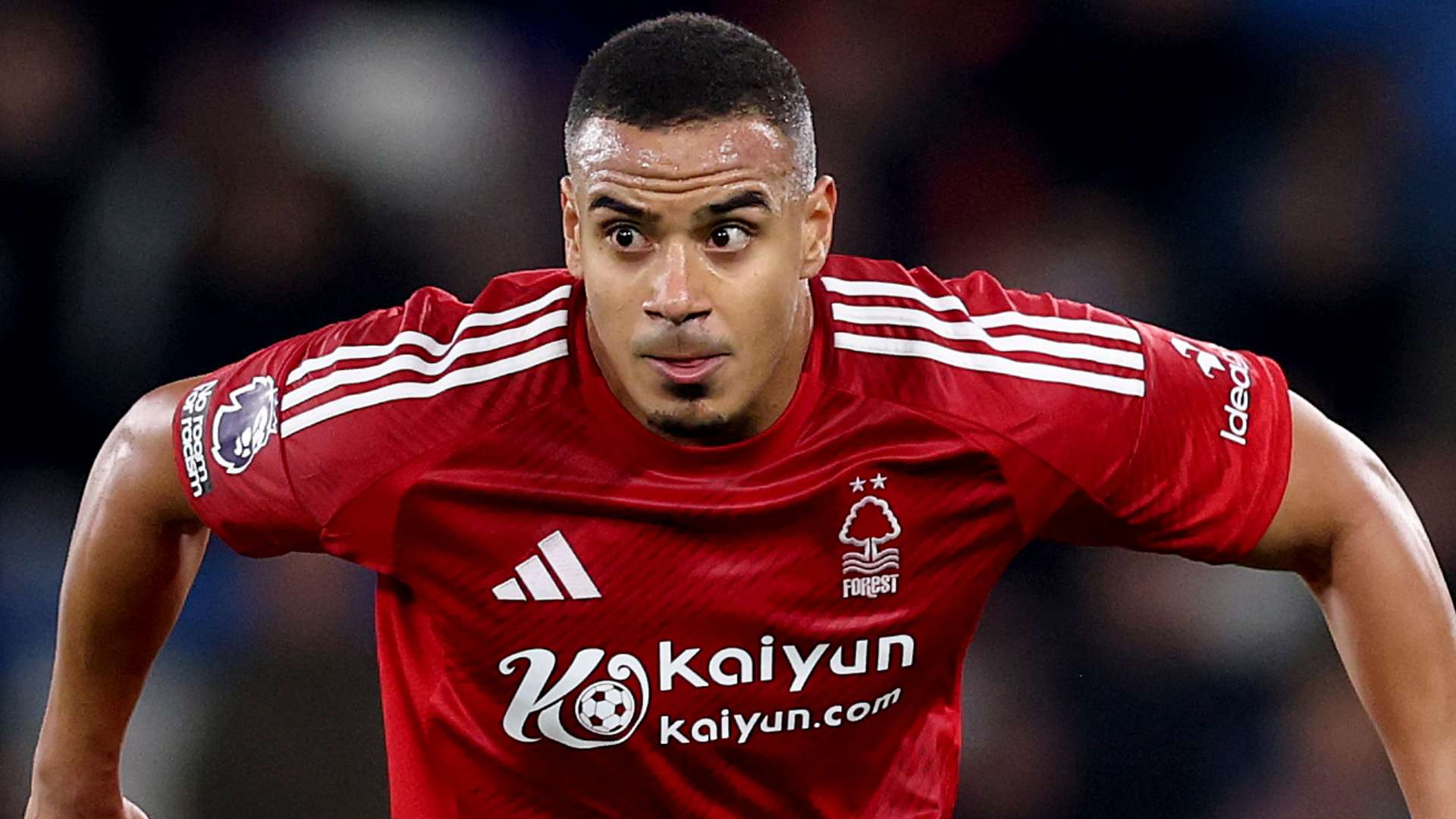 市打破地域 市打破地域