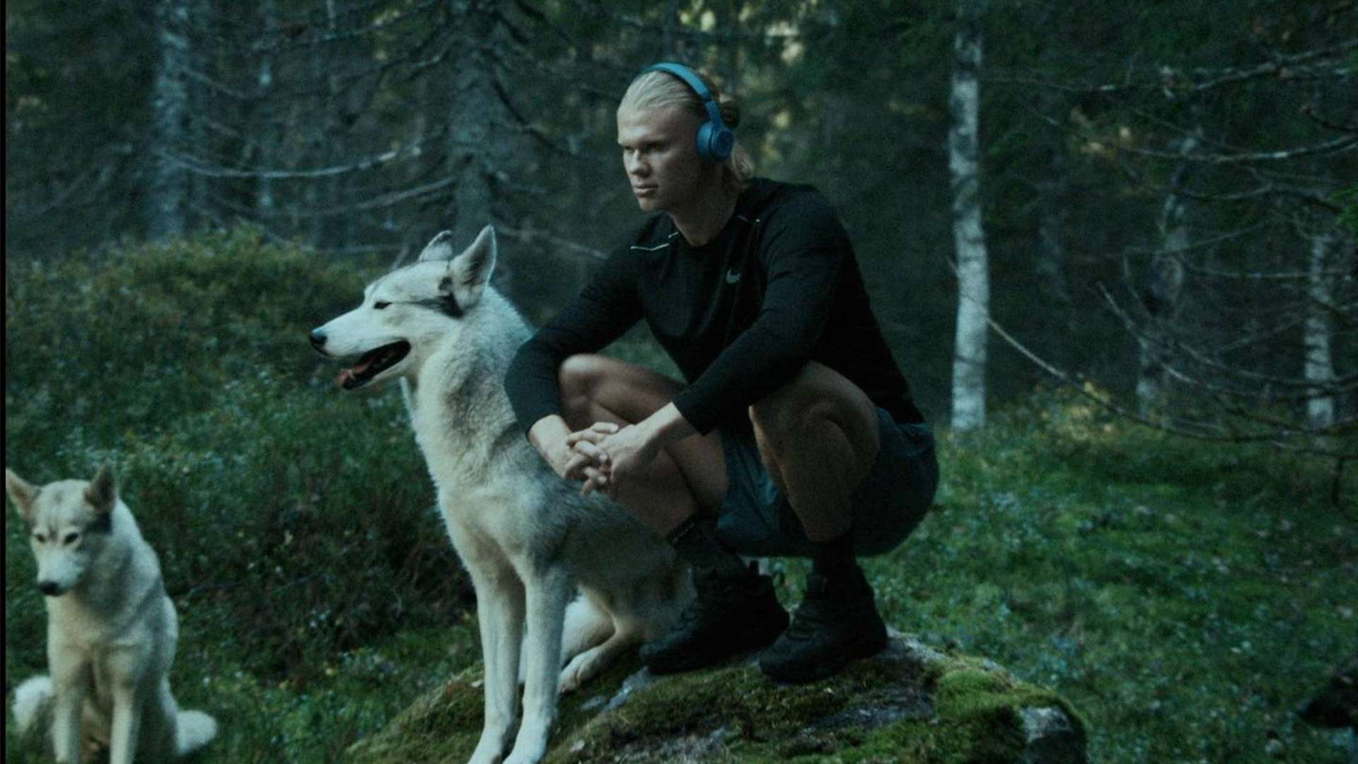 奉献著称 奉献著称