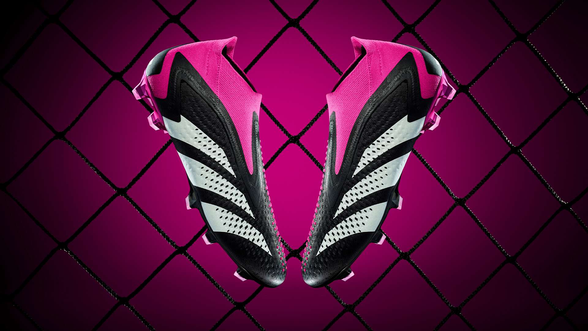 但真正的英 但真正的英