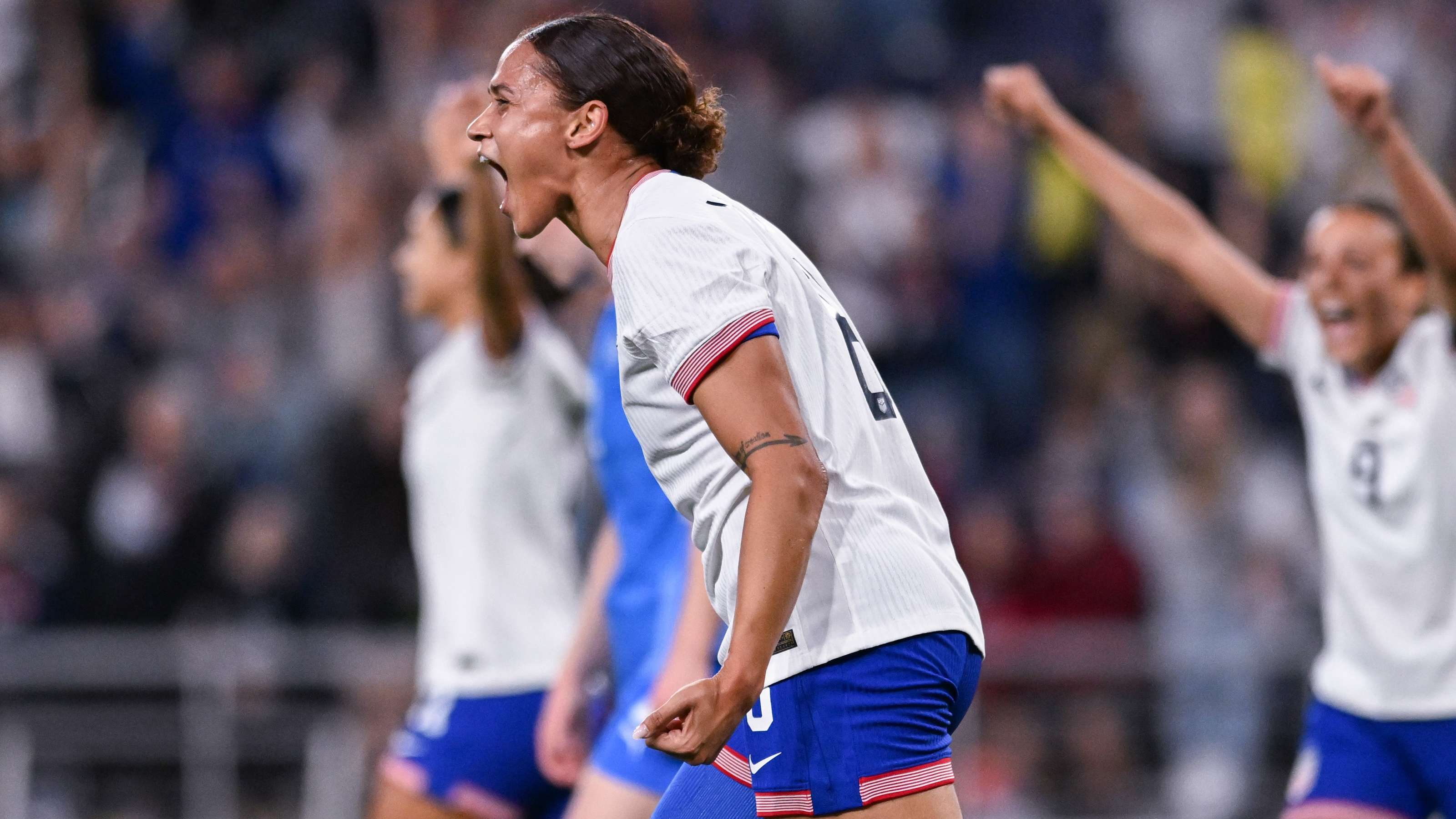 花与蔚蓝的 花与蔚蓝的