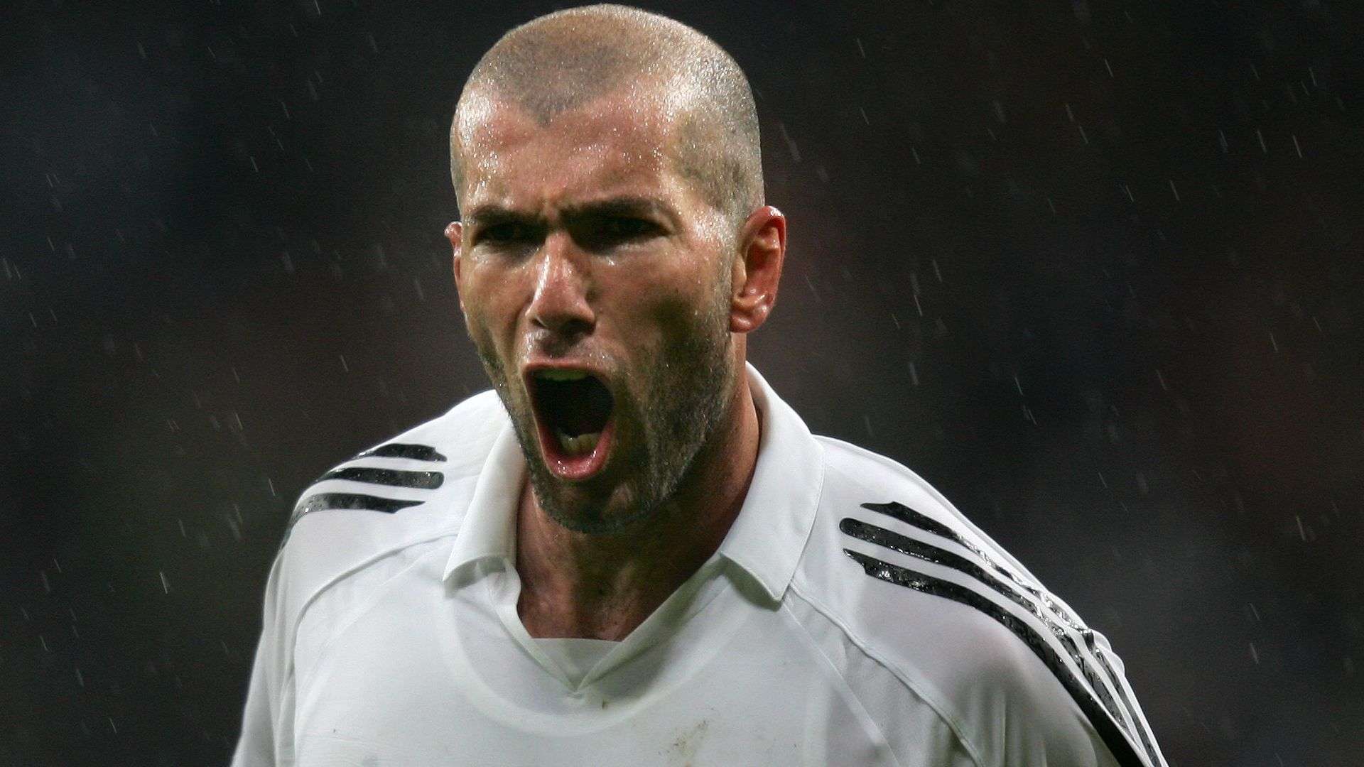 这是因为运 这是因为运